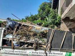 Best Demolition Debris Removal  in Warm Springs, CA